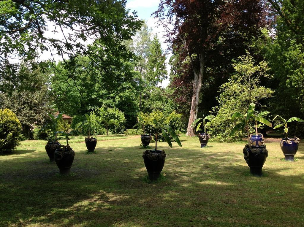 Maisonmazerand Cirey-sur-Vezouze Exterior foto